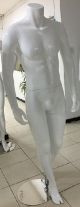 MALE HEADLESS MANNEQUINE GLOSSY WHITE